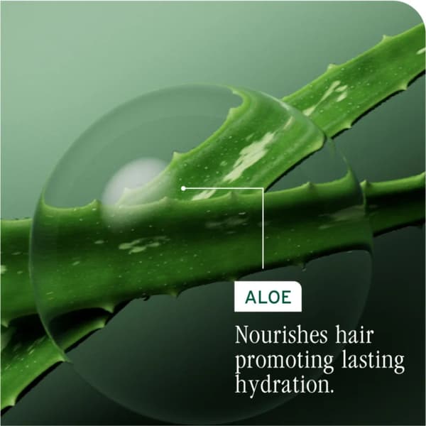 Fugtgivende balsam til tørt hår Biolage Essentials HydraSource 236 ml