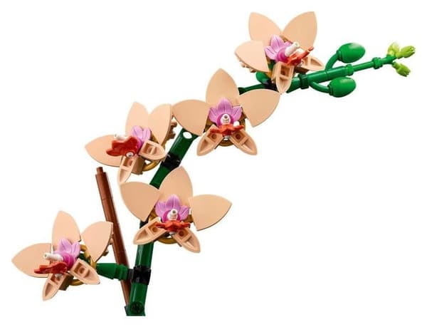 LEGO Botanical Collection 10343 Liten orkidé