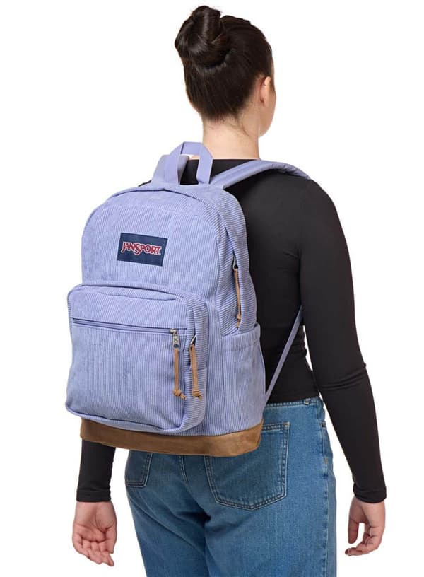 JanSport Right Pack Expression dagsrygsæk - lavendel ask fløjl