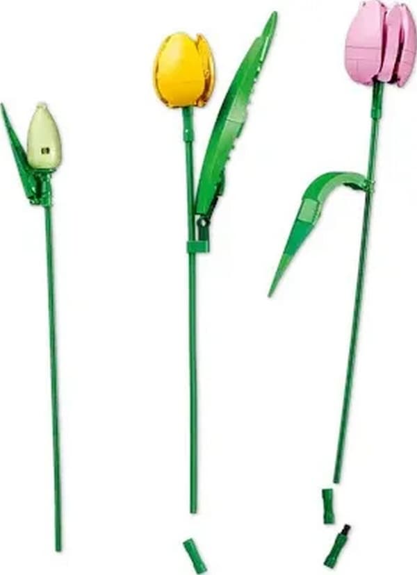 LEGO Botanicals 11501 Tulpanbukett