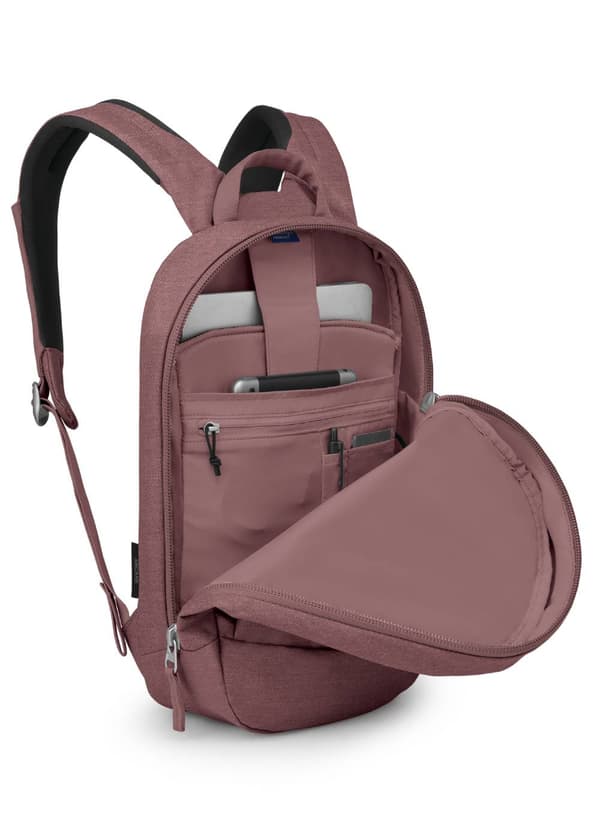 Osprey Arcane Small Day byrygsæk - purple garnet heather