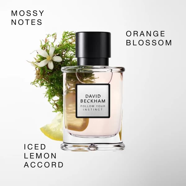 David Beckham Follow Your Instinct Eau de Parfum til mænd 50 ml