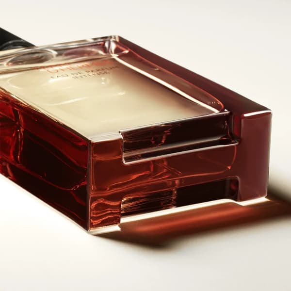 HERMÈS Terre d’Hermès Eau de Parfum Intense til mænd