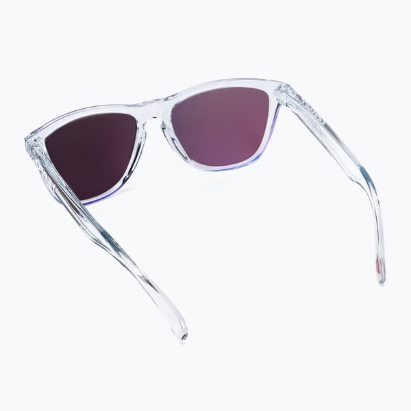 FROGSKINS UNISEX - Solbriller - prizm violet