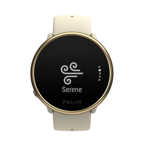 Smartwatch POLAR IGNITE 2 champagne-guld