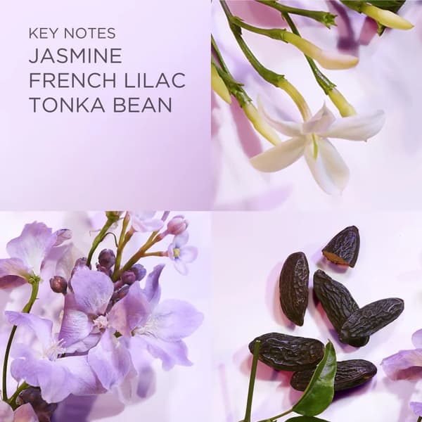 Elizabeth Arden White Tea Eau Lilac Eau de Toilette til kvinder