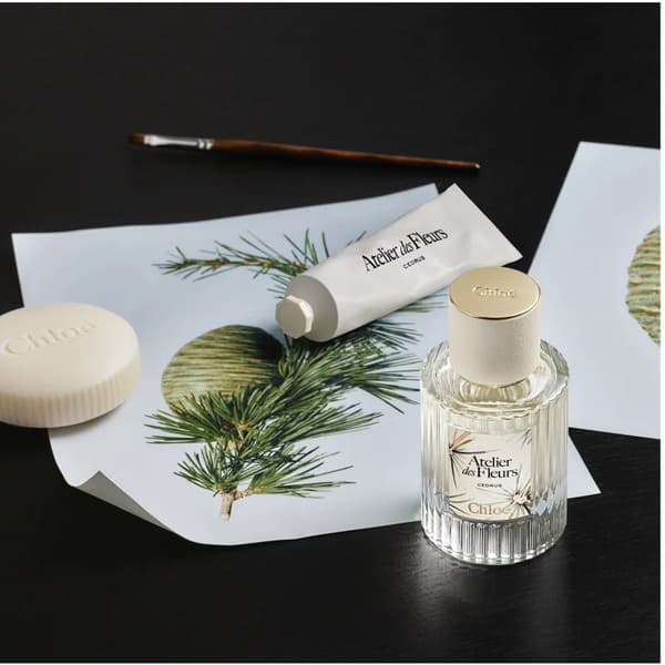 Chloé Atelier des Fleurs Cedrus Eau de Parfum til kvinder 50 ml