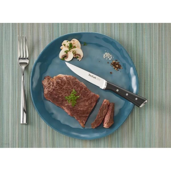 TEFAL Ice Force steakknivsæt K232S414 (4 dele)