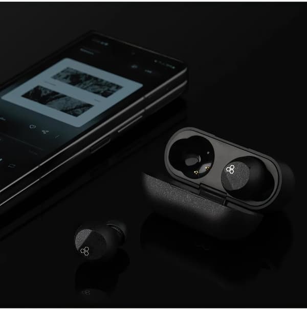FINAL AUDIO ZE3000 SV ANC In-ear hovedtelefoner Sort