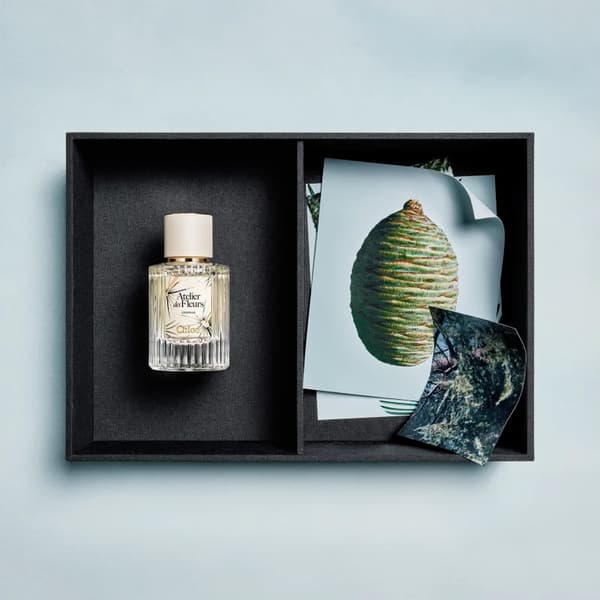 Chloé Atelier des Fleurs Cedrus Eau de Parfum til kvinder 50 ml