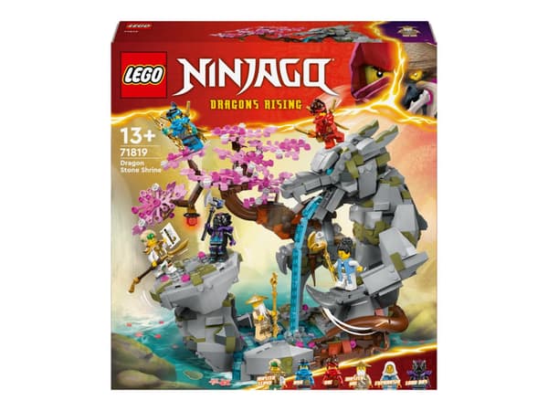 LEGO Ninjago 71819 Drakstenstempel