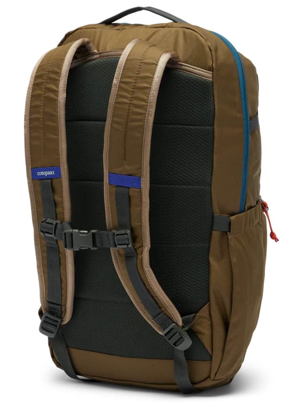 Cotopaxi Chiquillo Daypack 26 l - live oak