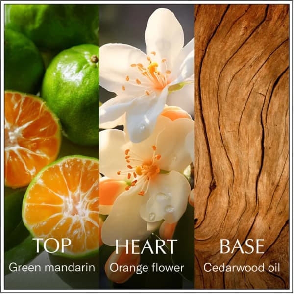 Chanson d'Eau Original Neroli Eau de Toilette til kvinder 100 ml