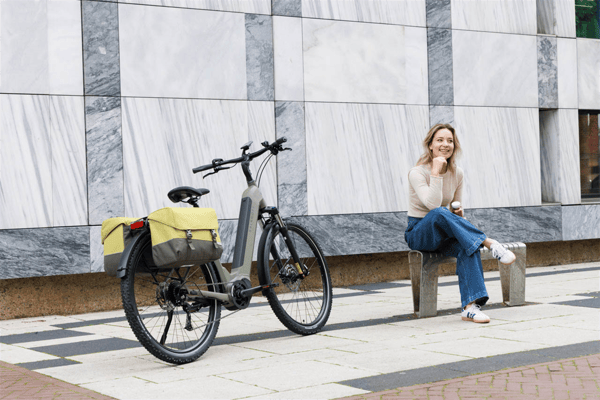 Cykelväskor NEW LOOXS Joli
