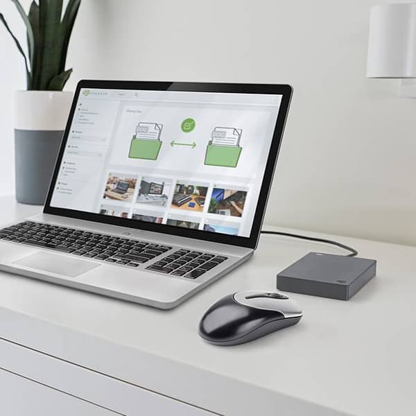 SEAGATE Basic 4TB HDD-disk