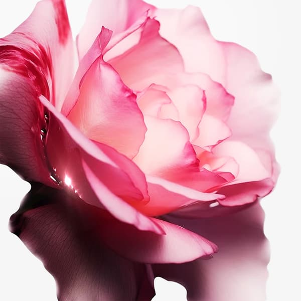 Parfymvatten refill för kvinnor Mugler Angel Nova 100 ml