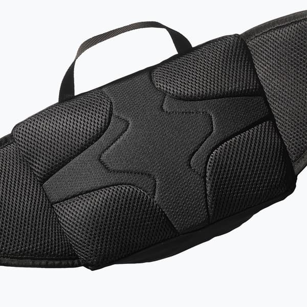 Salomon Trailblazer 4 l sort/legering hoftetaske