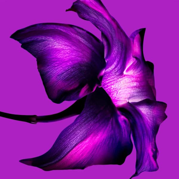 Mugler Alien Extraintense Eau de Parfum til kvinder