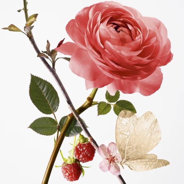 GOUTAL Rose Pompon Eau de Toilette til kvinder
