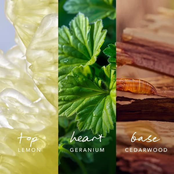 Mexx Inspired Nature Eau de Parfum til mænd