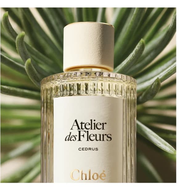 Chloé Atelier des Fleurs Cedrus Eau de Parfum til kvinder