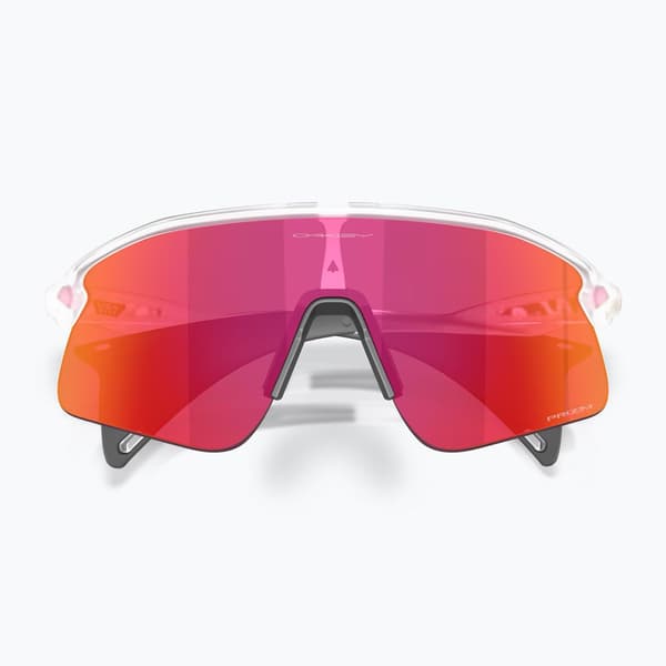 Oakley Stunt Devil solbriller mat klar/prizm field