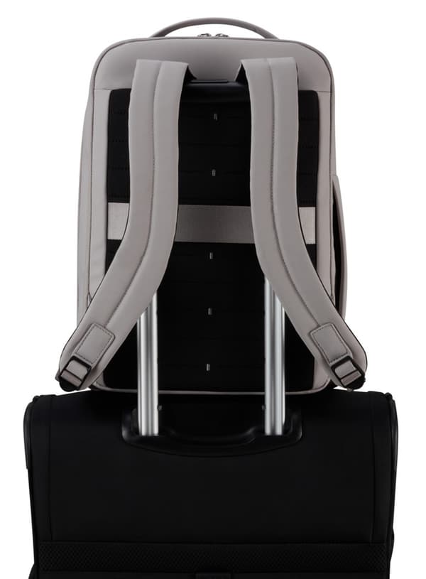 Laptopryggsäck 14,1 Samsonite Wander Last - askrosa