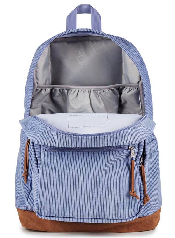 JanSport Right Pack Expression dagsrygsæk - lavendel ask fløjl