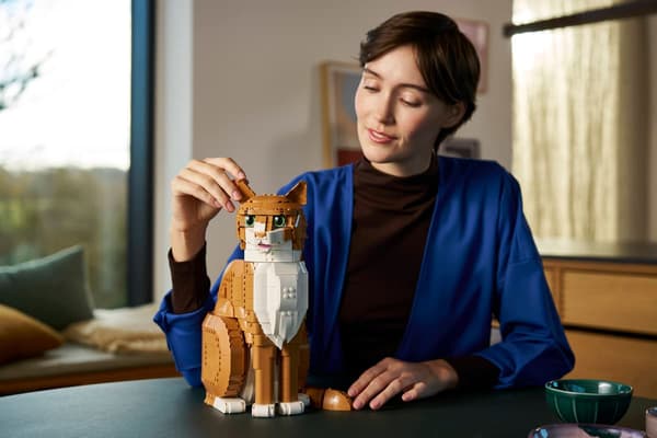 LEGO 21376 Ideas - Punainen kissa