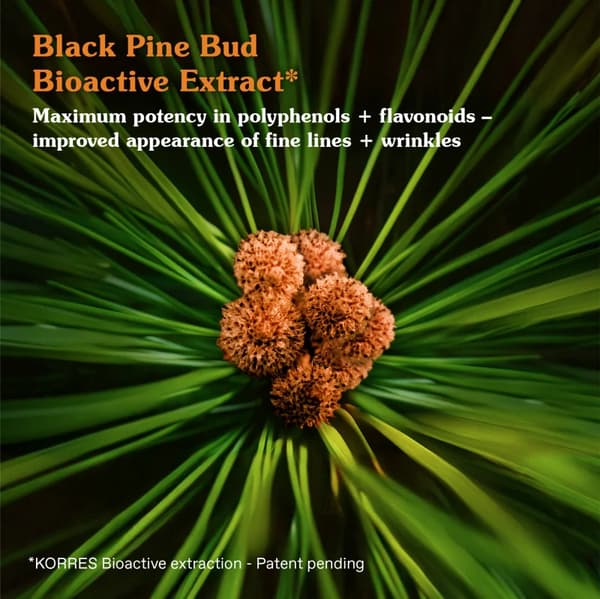 Korres Black Pine Primus natcreme mod ældning 40 ml