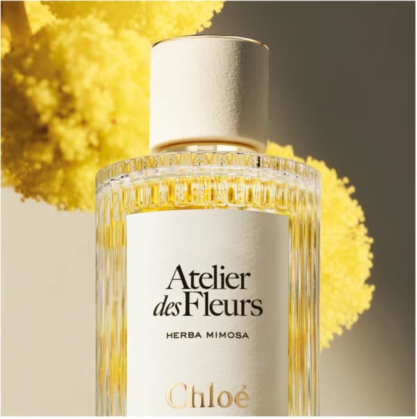 Chloé Atelier des Fleurs Herba Mimosa Eau de Parfum til kvinder