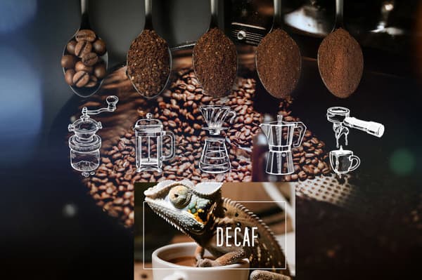 EIGHT CAFE Decaf Arabica kaffebønner 0.5 kg