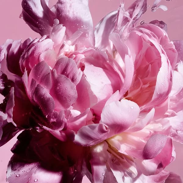 Eau de parfum til kvinder Viktor & Rolf Flowerbomb Pretty Peony