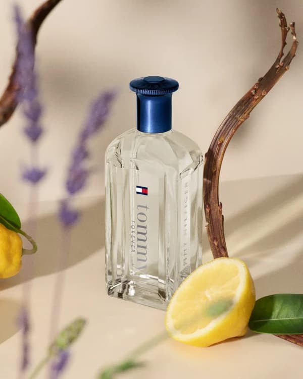 Tommy Hilfiger Tommy Forever Eau de Toilette til mænd