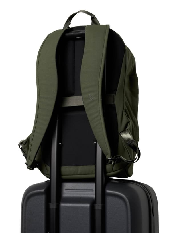 Bellroy Classic Backpack (tredje udgave) - oliven