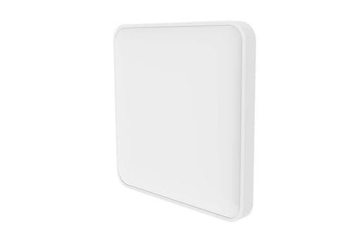 Ceiling Light C2001S500