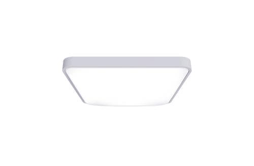 Ceiling Light C2001S500
