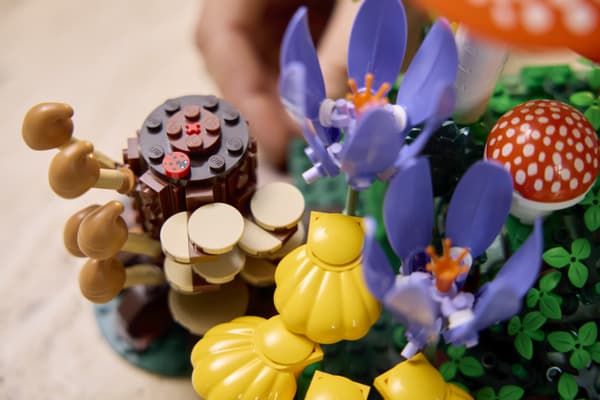 LEGO Botanicals 11505 - Skogens svampar