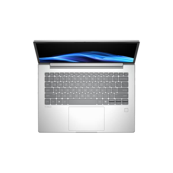 HP ProBook 4 G1a 14" bärbar dator, Windows 11 Pro (D35YLET)