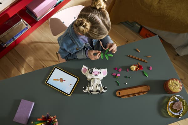 LEGO Disney Prinsessa 43292 – Pua