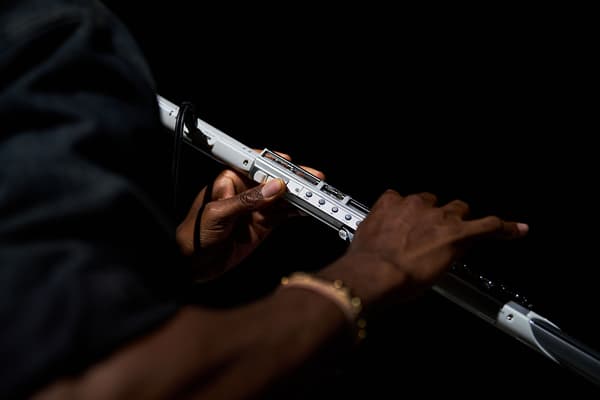 Roland Aerophone Brisa Digital Blåsinstrument