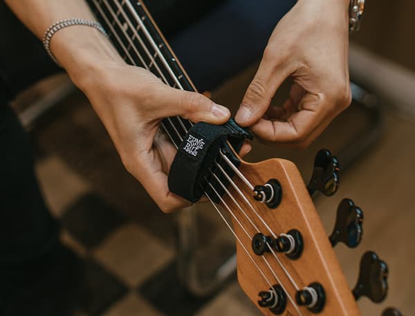 Ernie Ball Fretwrap Stor