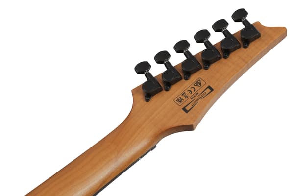 Ibanez GRGR221FA-TDK elgitarr, Transparent Indigo Black
