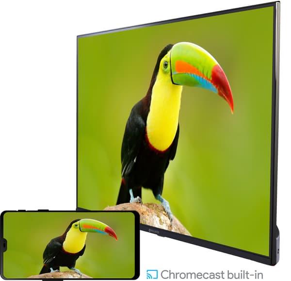 ProCaster 43" Q975H – 4K QLED Google TV