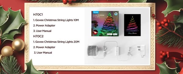 Govee Christmas String Lights 2 LED-ljusslinga, 30 m, grön