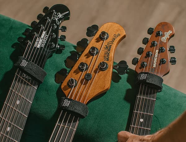 Ernie Ball Fretwrap Stor