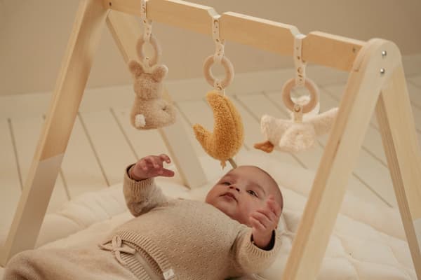 Little Dutch Träleksbåge