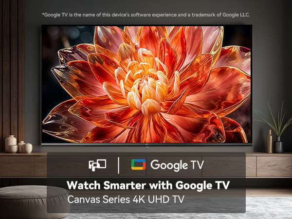 FPD 50" D900 4K LED Google TV