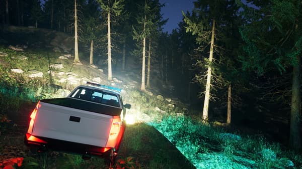 Parkvakt Simulator (PS5)
