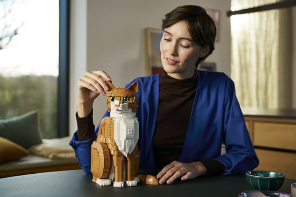 LEGO Ideas 21376 Orange katt